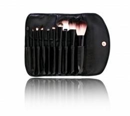 Bellapierre professional 10 brush set